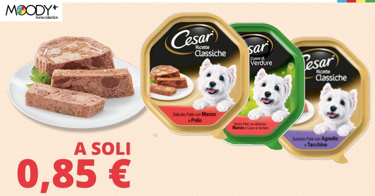 Gustose ricette per il tuo cane